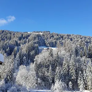 Les 3 Cols Morzine, 2 Pieces, 2 Personnes Appartement